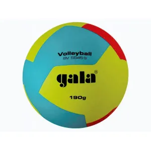 Gala Míč volejbal BV 5545 S obraz