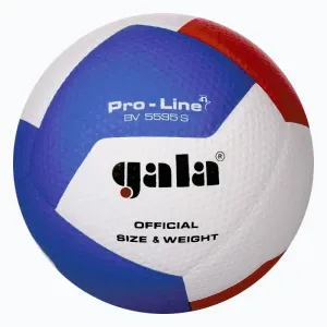 Gala Míč volejbal PRO-LINE BV5595S HANDSHAKE obraz