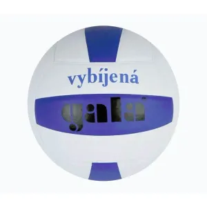 Gala Míč vybíjená BV4061S obraz