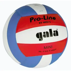 Gala Pro Line 4051 S volejbalový míč obraz