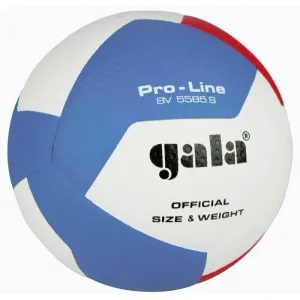 Gala PRO LINE BV 5585 S obraz