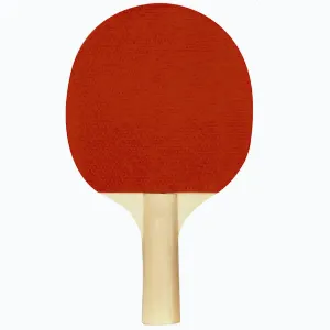 Get Go Recreant pálka na stolní tenis - 1 ks obraz