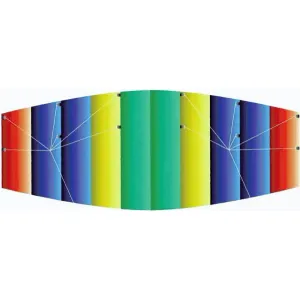 Günther drak Raver 100x45 cm obraz