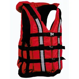 Hiko Safety Rent - XXL obraz