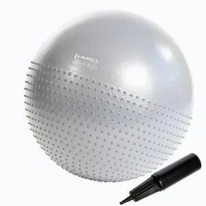 HMS Masážní gymnastický míč YB03N 65 cm světle šedý obraz