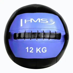 HMS Wall ball WLB 12 kg obraz