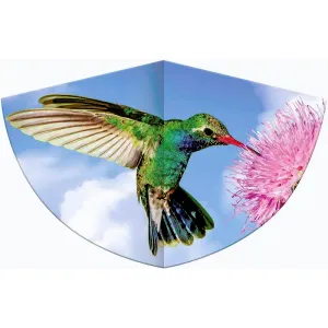 KOLIBRI 75x48 cm obraz