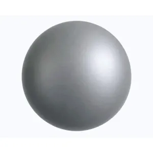 Kubisport Míč OVERBALL 30 cm stříbrný obraz