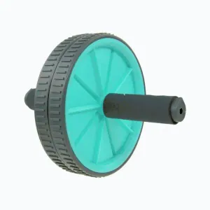 Lifefit Posilovací kolečko Exercise Wheel Duo mint obraz