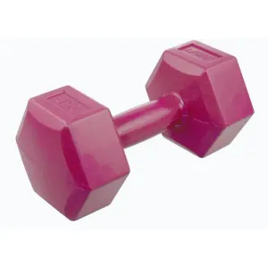 Lifefit Vinylová činka 1 x 3 kg bordó obraz