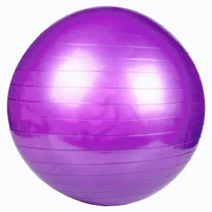 Merco Gymball 55 gymnastický míč fialová - 1 ks obraz
