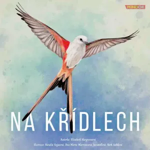 Mindok Na Křídlech obraz