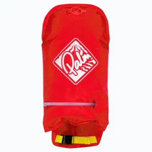 Palm Paddlefloat obraz