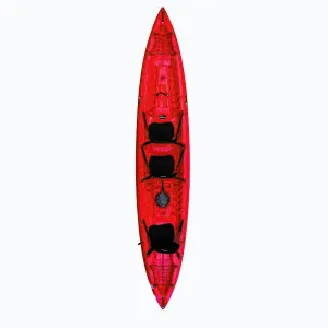 Rainbow Orca expedition obraz
