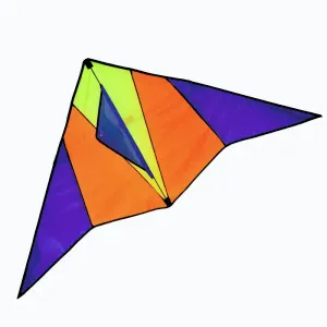 RULYT Létající drak model 17 150x70cm obraz