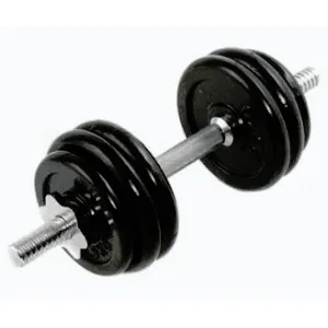 Sedco Činka nakládací chrom 15 kg obraz