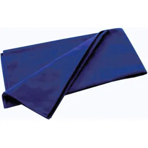 TravelSafe ručník Microfiber Towel L royal blue obraz